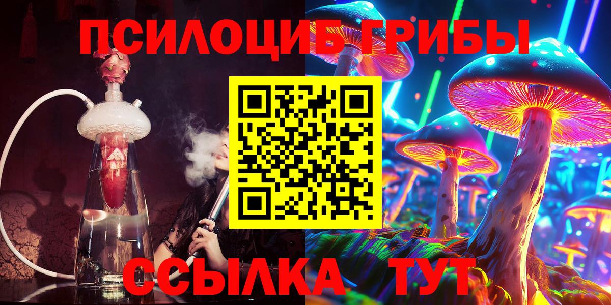 Псилоцибиновые грибы Psilocybine cubensis  дарнет шоп  Чистополь  Вход с VPN 